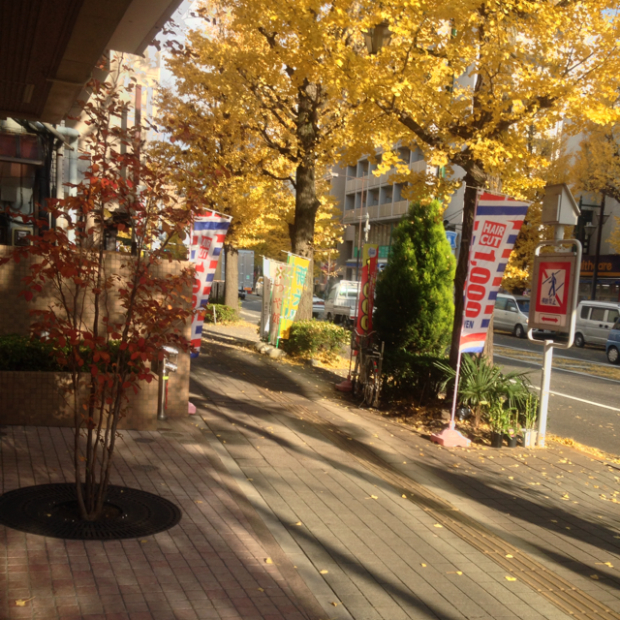 pic20131130222604_1.jpg