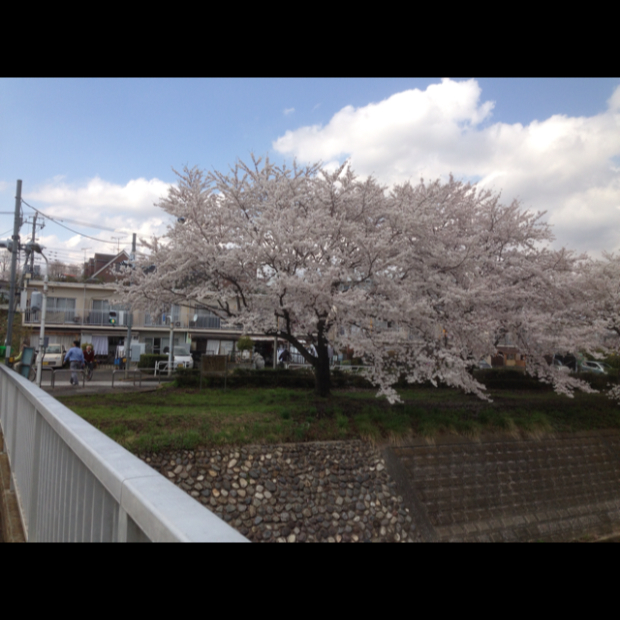 pic20140405161825_1.jpg